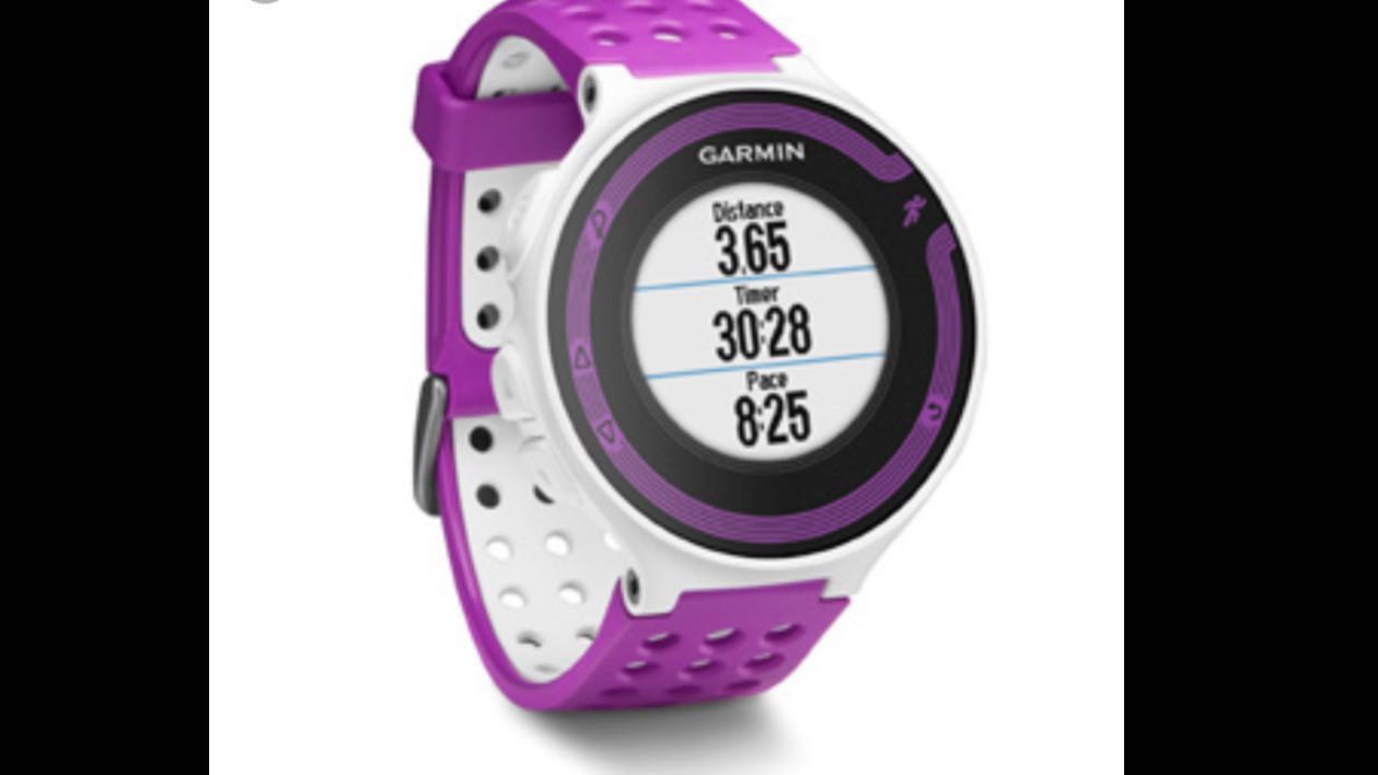 garmin fr 220