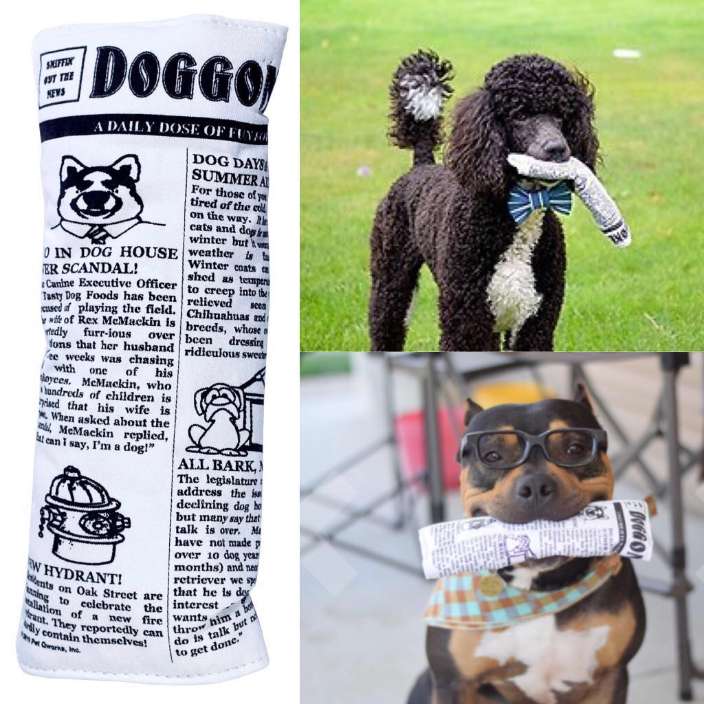 Squeaky newspaper dog toy store