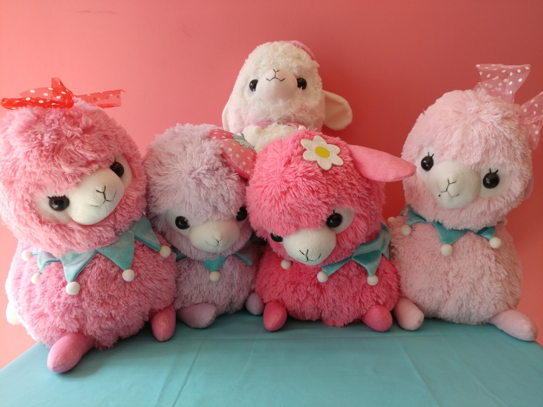 alpacasso amuse