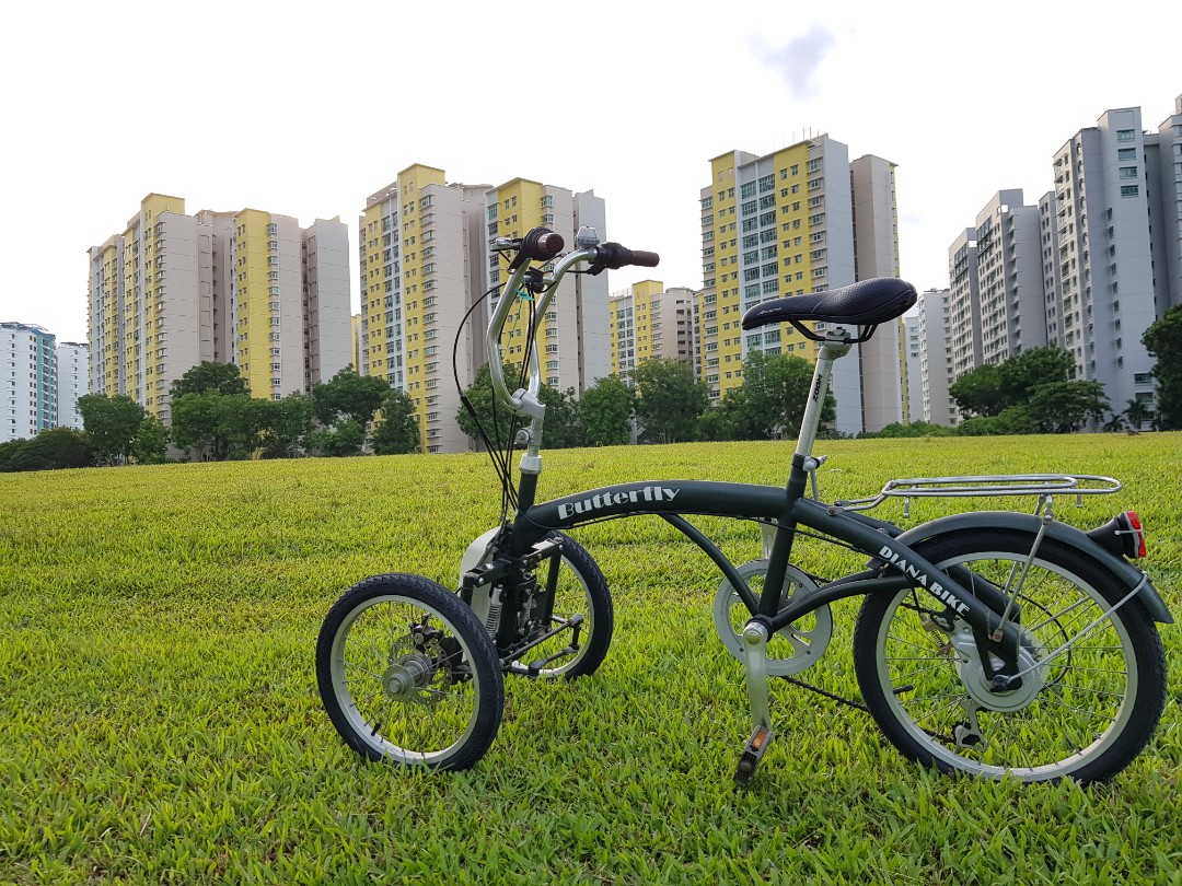 Korean Butterfly Tri Wheel Bike 6 Speed Shimano Sports Equipment Bicycles Parts Bicycles On Carousell Korean Butterfly Tri Wheel Bike 6 Speed Shimano Sports Equipment Bicycles Parts Bicycles On Carousell