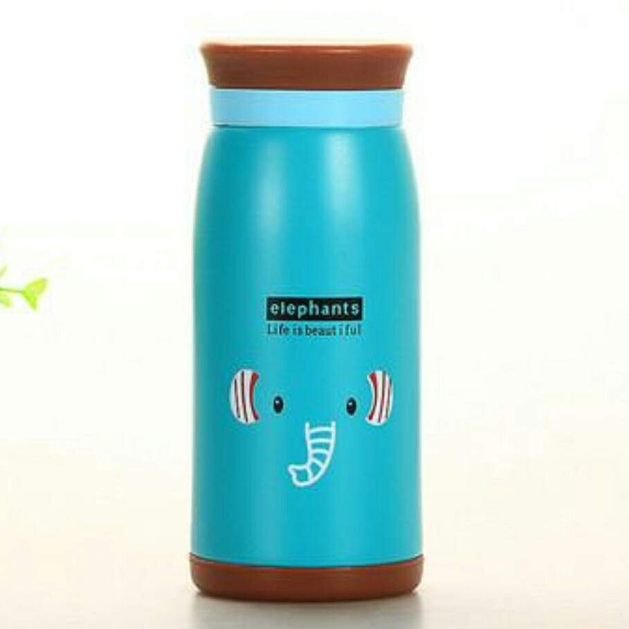 Thermal Flask/Water bottle, TV & Home Appliances, Kitchen Appliances