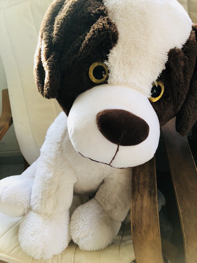 Big dog teddy bear deals