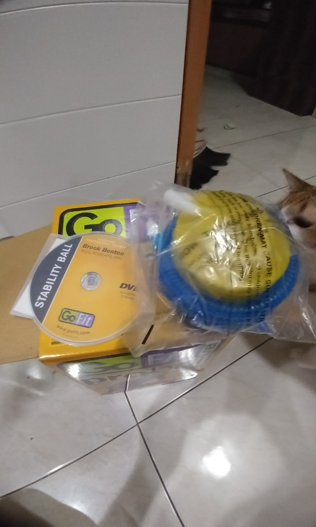 Harga gym ball di ace hardware sale