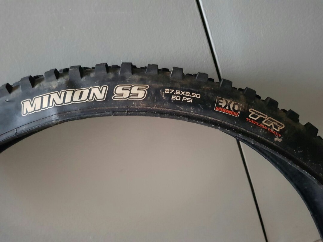 minion ss 27.5
