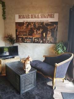 *REDUCED* Luxury Black & Gold Sofa for sale