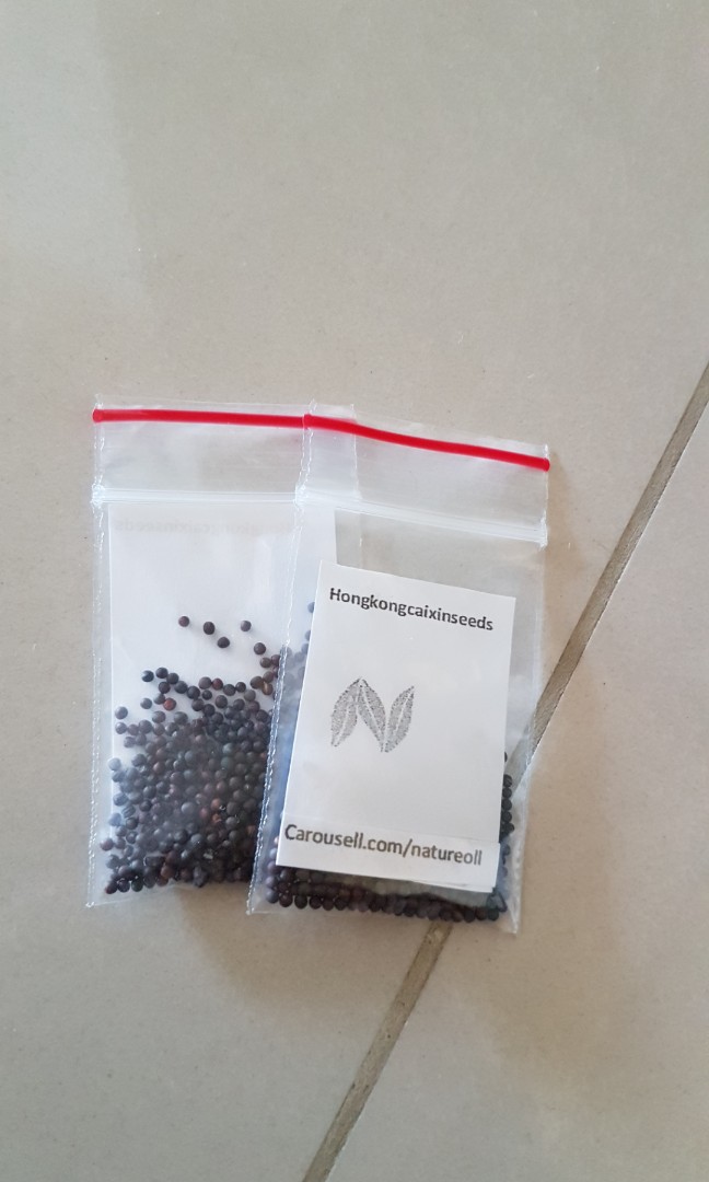 Hongkong Cai Xin Seeds Gardening On Carousell Hong kong brilliant sg co ltd. carousell