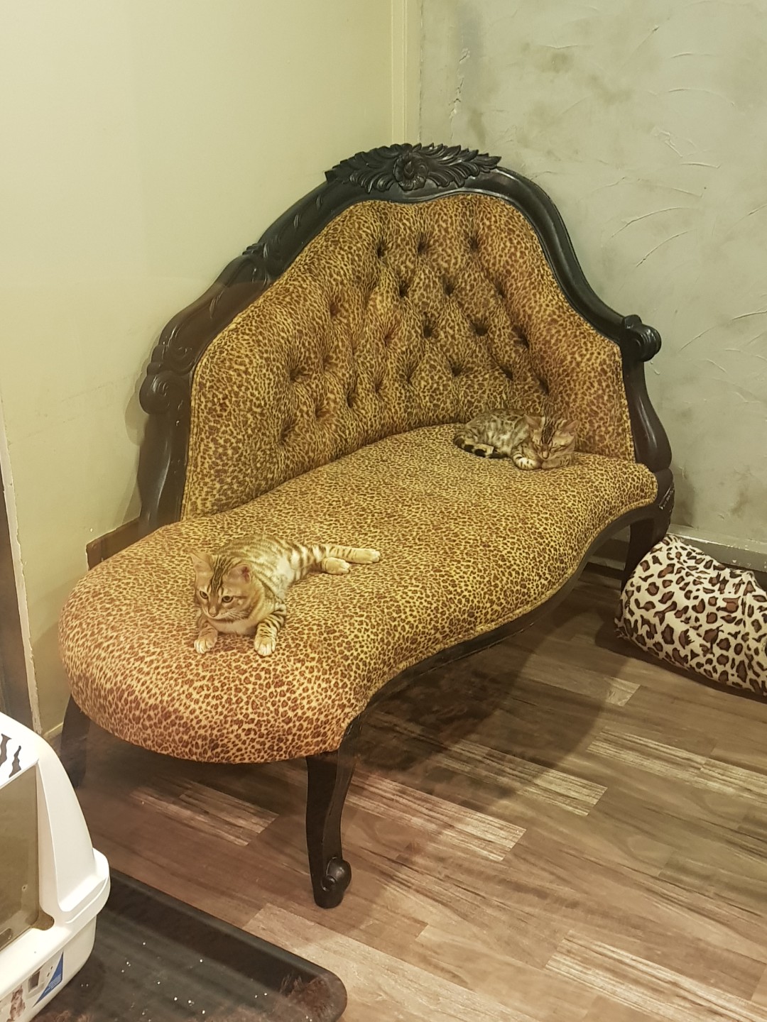 Reduced Luxury Leopard Print Sofa Furniture Sofas On Carou Photo