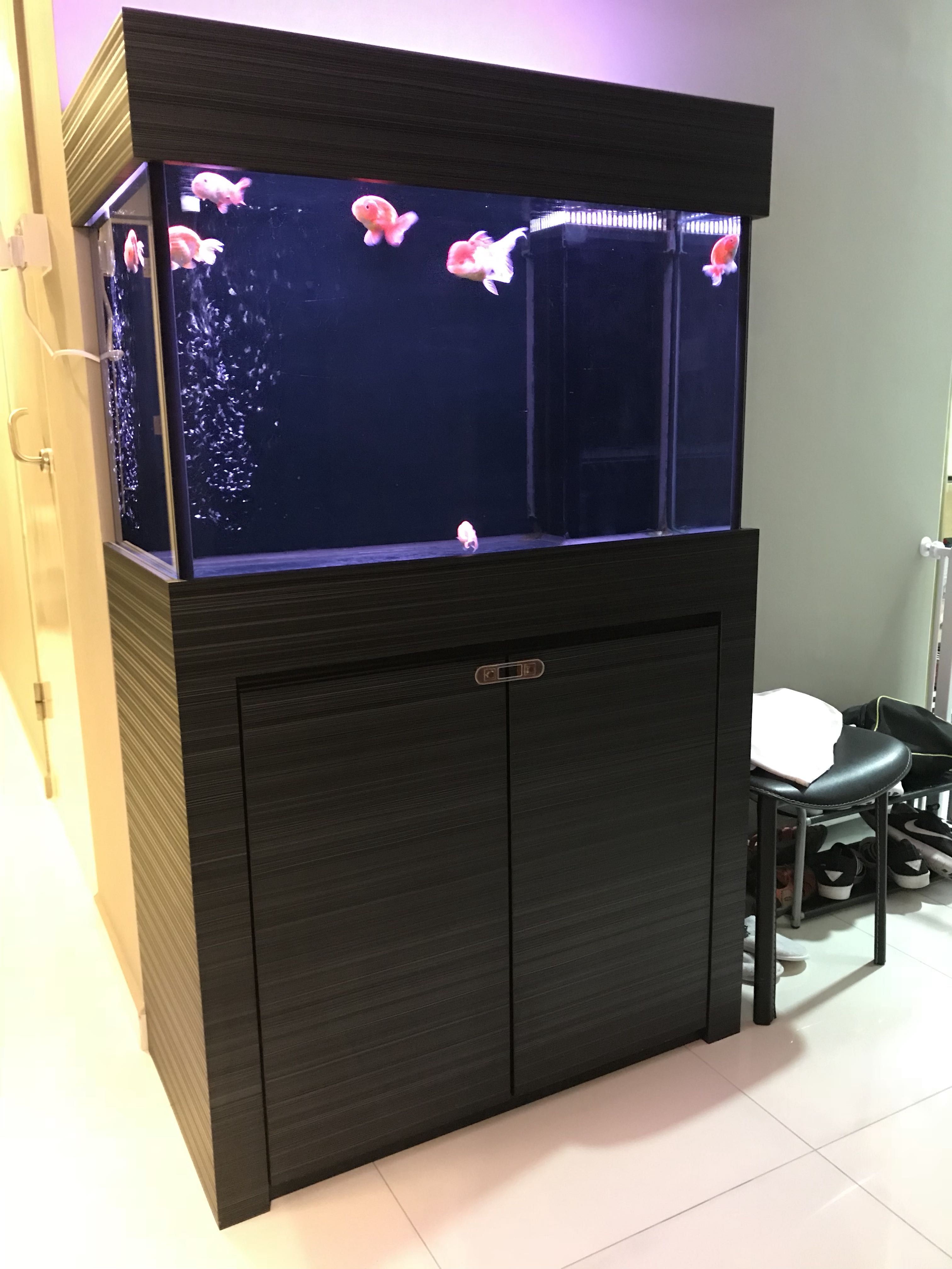 N30 Fish Tank with sump, Furniture & Home Living, Furniture, Shelves