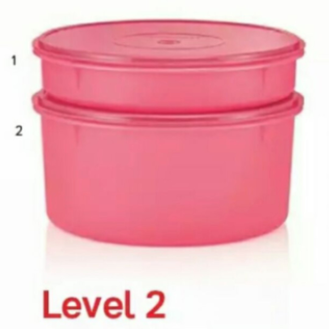 Tupperware Take A Lot Small (1) 3.7L - Pink