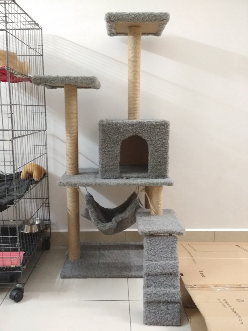 rumah kucing cat tree, Pet Supplies, Pet Accessories on Carousell