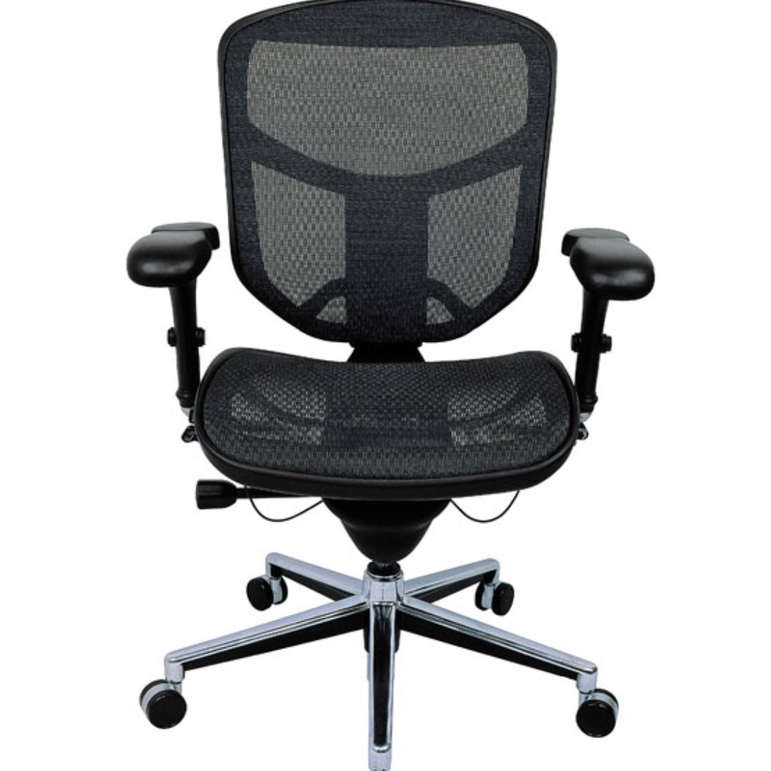 Used Ergohuman Enjoy Mesh Office Chair W O Head Rest Furniture