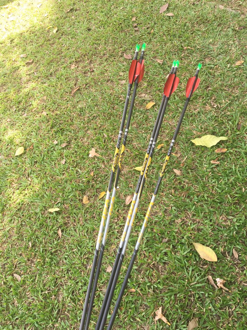 VAP carbon arrows 700 spine, Sports Equipment, Sports & Games, Billiards & Bowling on Carousell