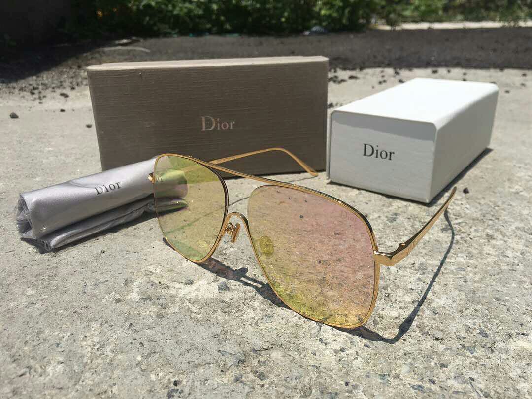 Dior Homme 0220S 010IR Palladium Sunglasses  The Eye Place