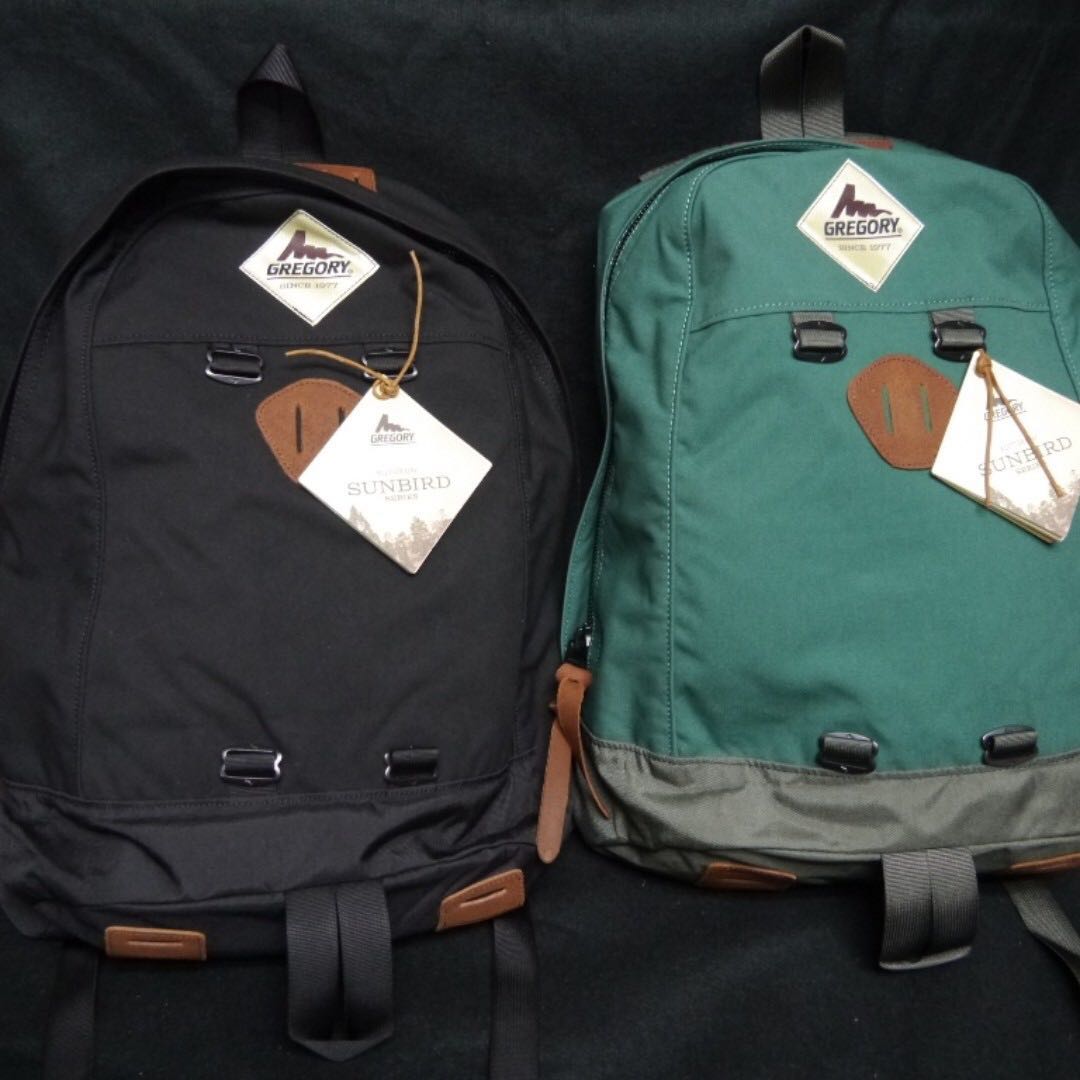 GREGORY SUNBIRD KLETTER DAY PACK Carousell