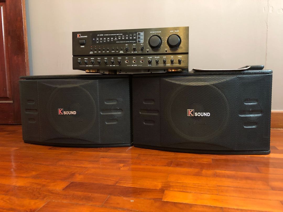 karaoke amplifier and speakers