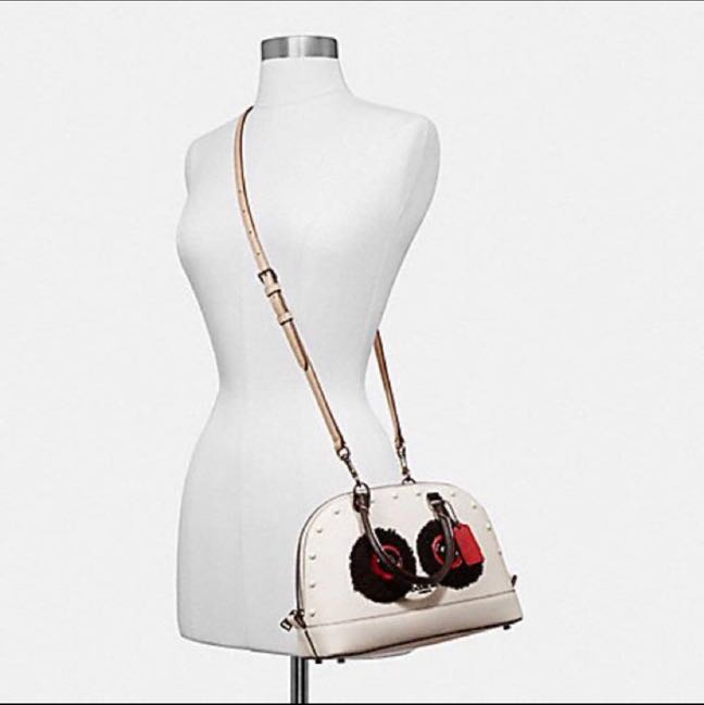 Coach on sale sierra purse