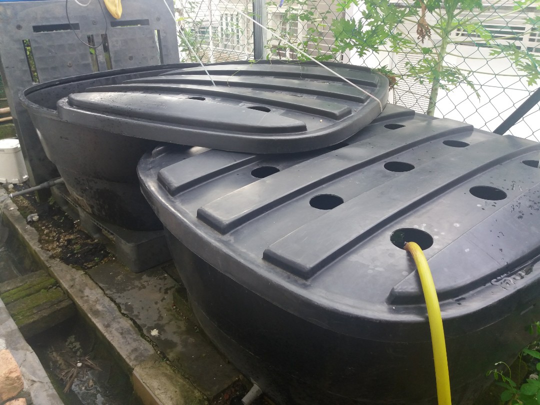 Tangki Air Water Tank 150 Gallon Everything Else Others On Carousell