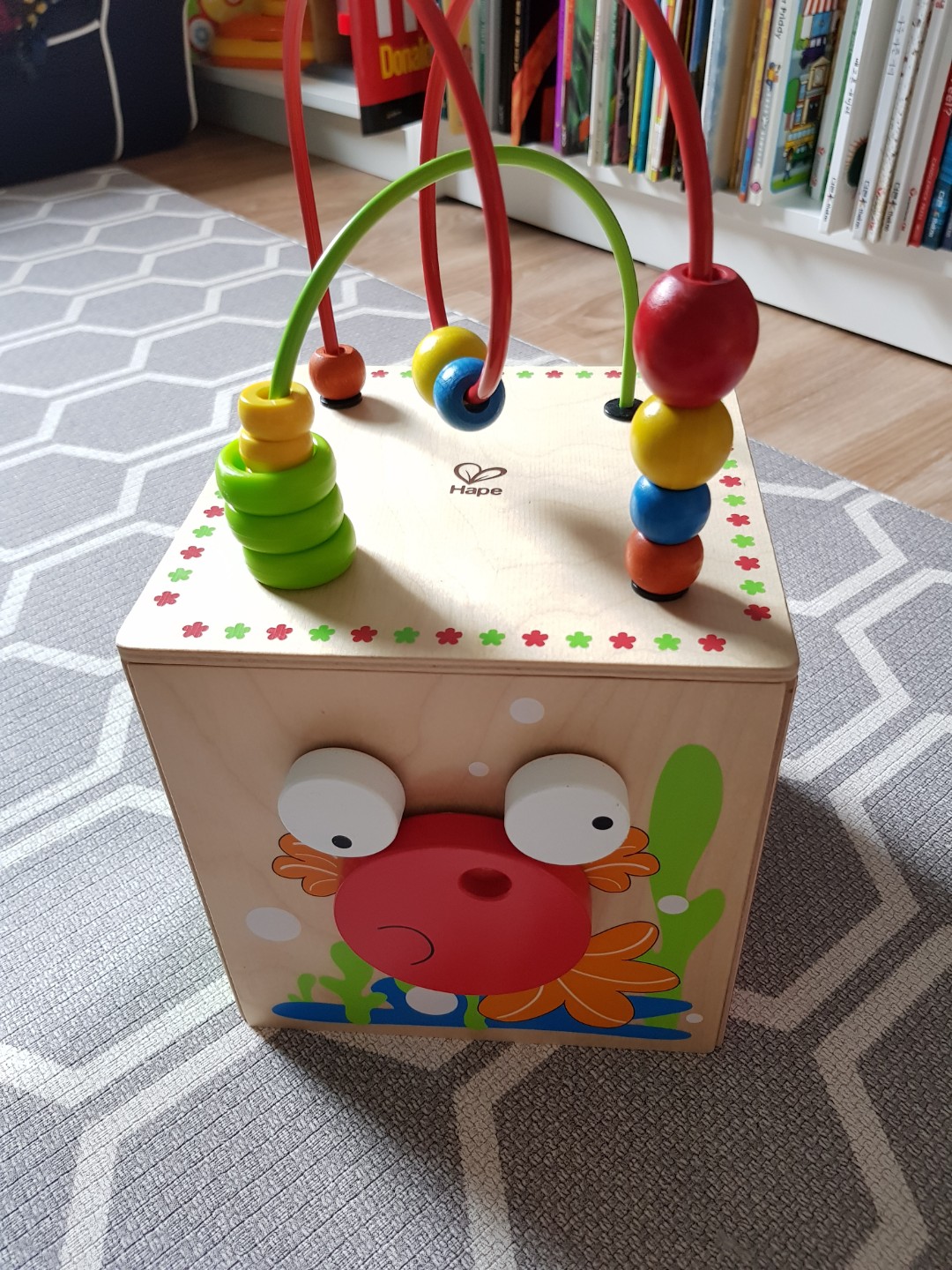 hape discovery box