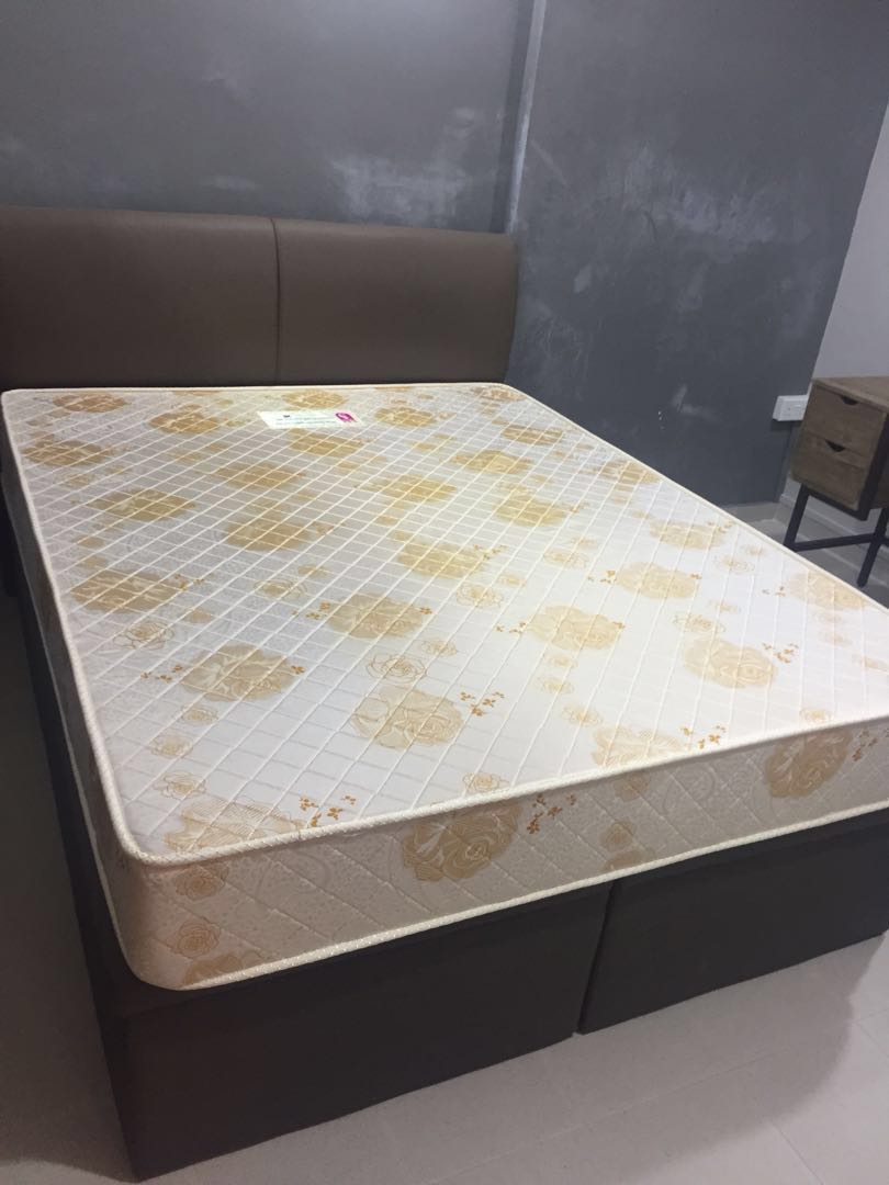 Seahorse queen shop size mattress