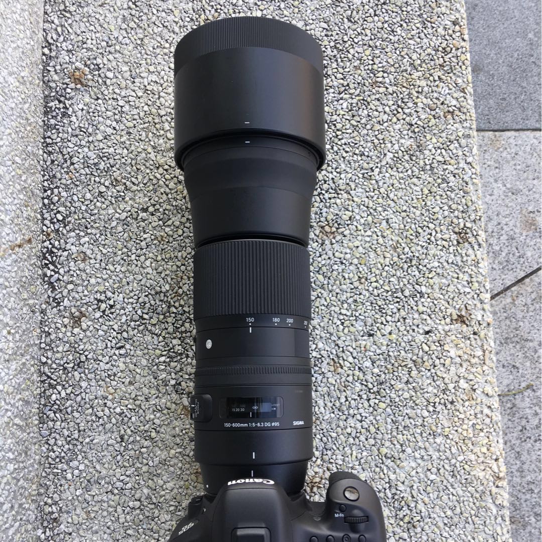 Sigma 150 600mm F 5 6 3 Dg Os Hsm C Lens Canon Mount Photography On Carousell