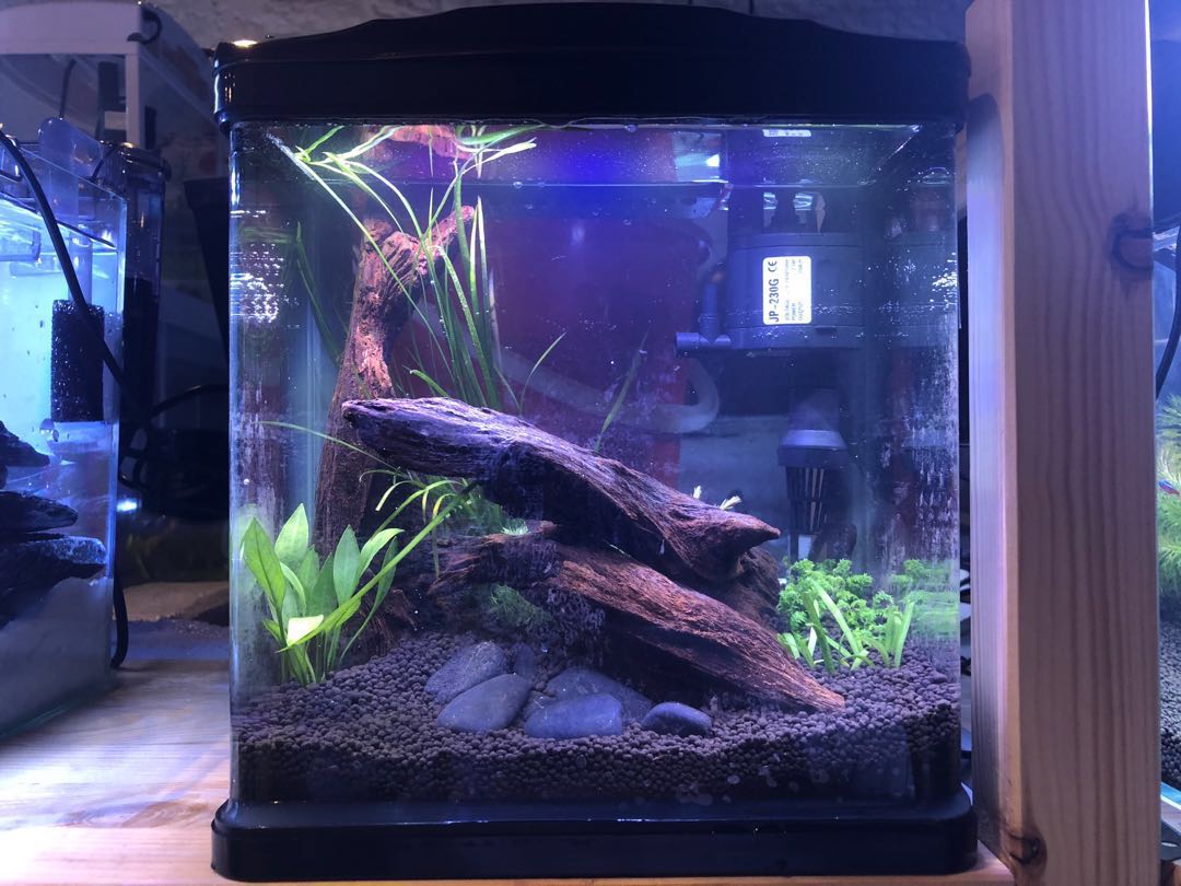 Simple aquarium best sale