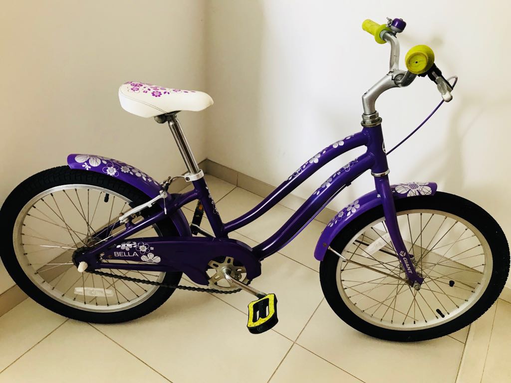 Giant Girls Bike Bicycles Pmds Bicycles On Carousell