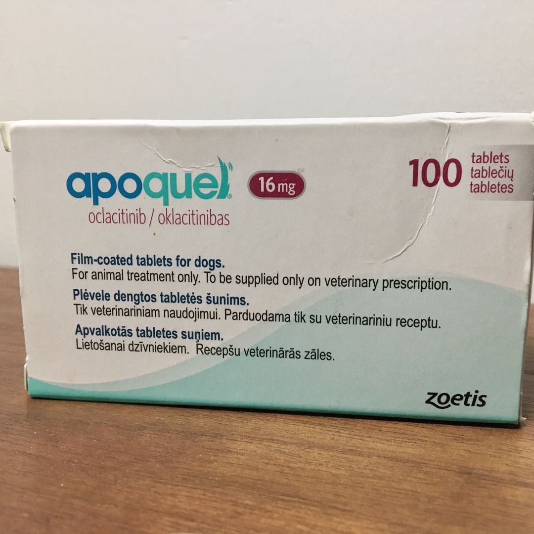 Apoquel 16mg 100粒, 寵物用品, 寵物食品 - Carousell