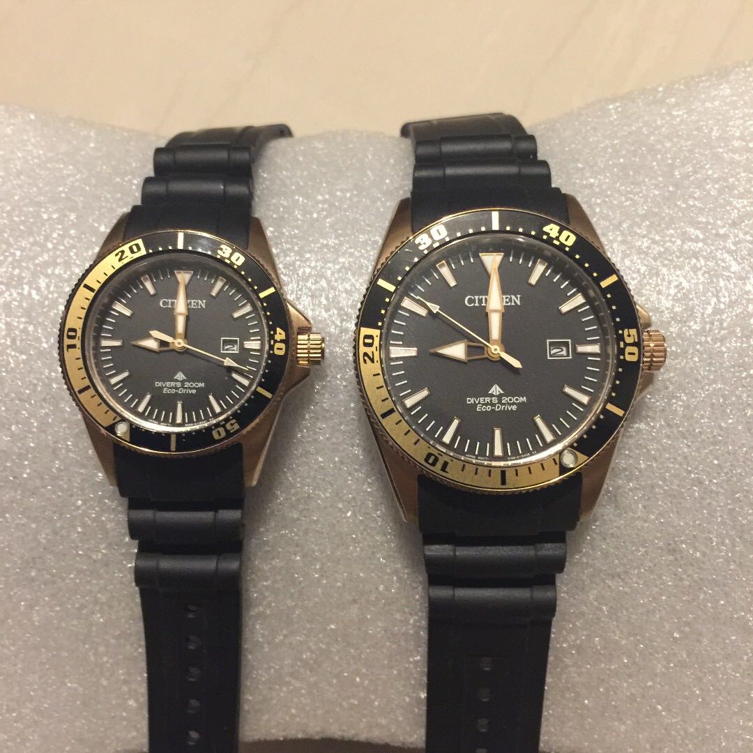 Citizen EcoDrive Pair Watch women