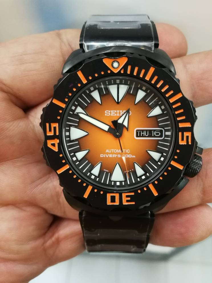 Srp311 2025