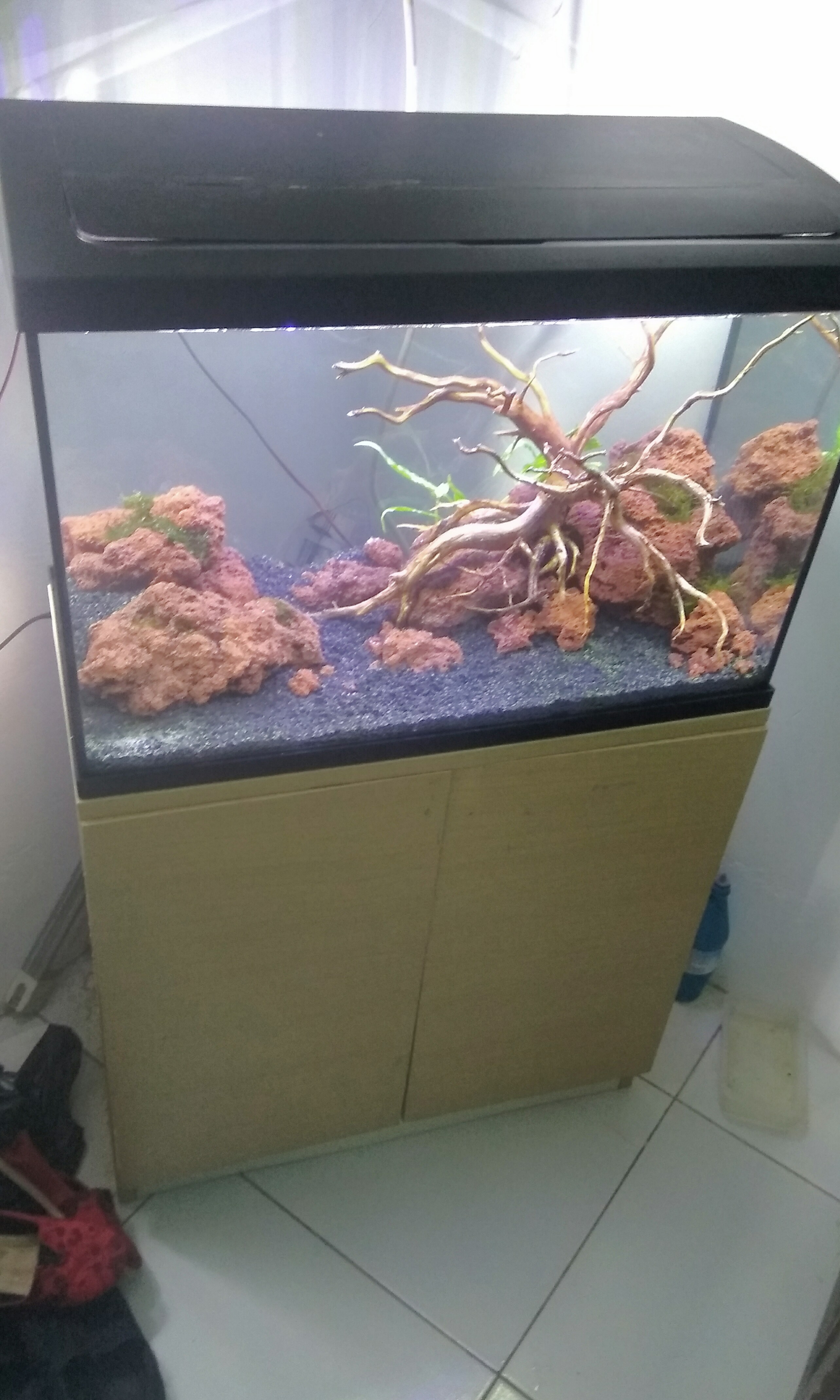 Jual Boyu Set Akuarium Dan Kabinet Ms 420 M Putih Original Ace