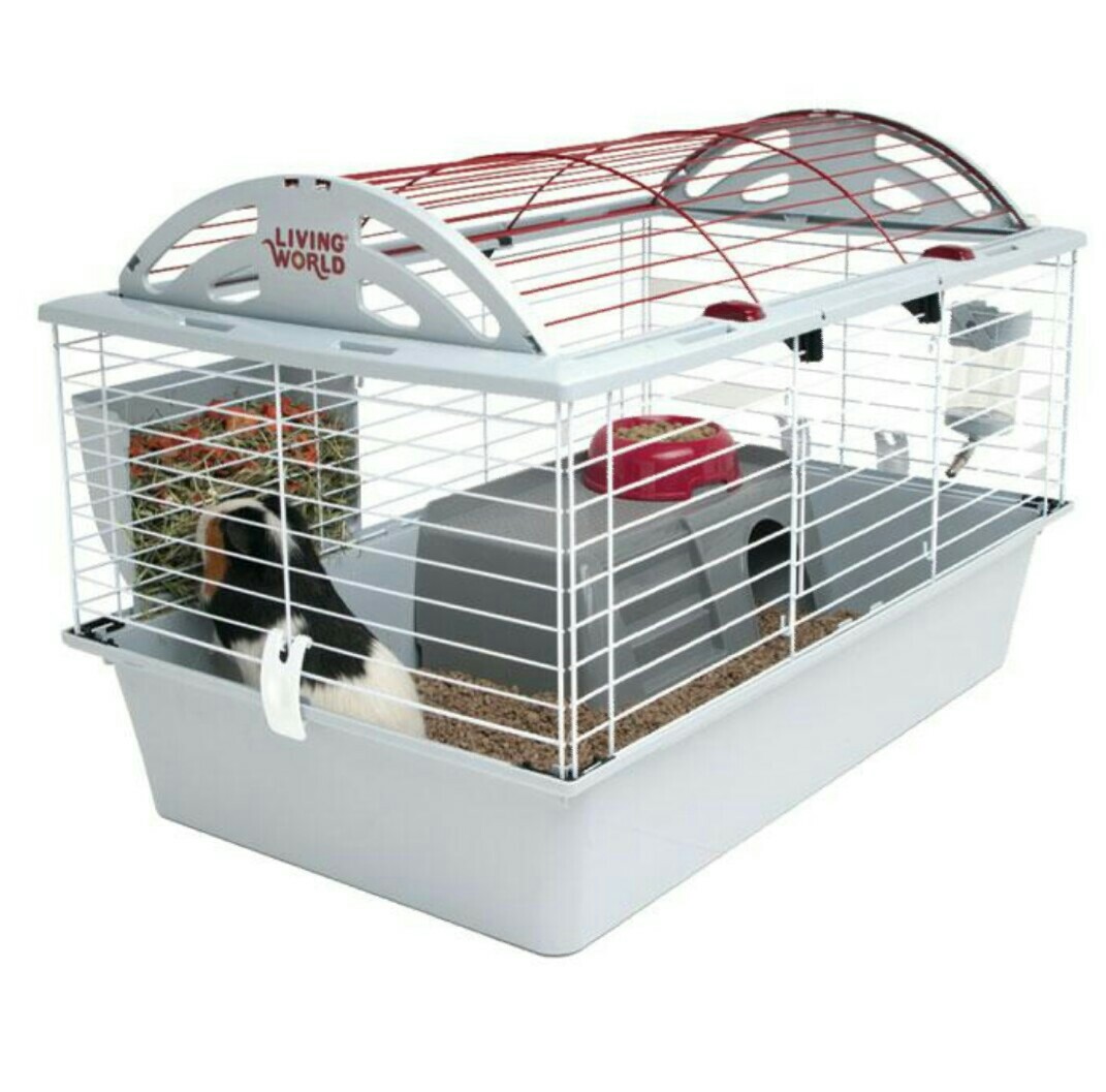 living world guinea pig cage