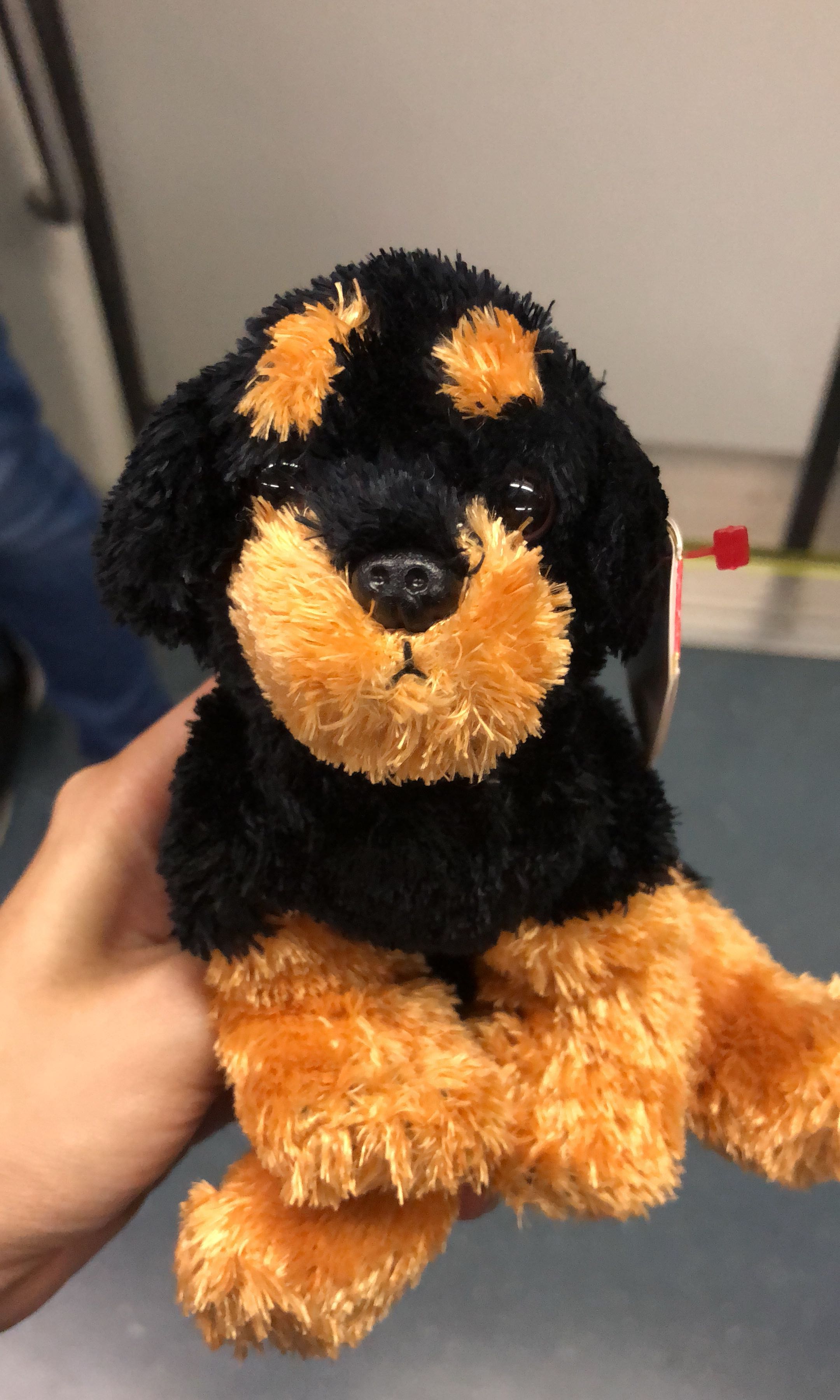 Brutus beanie baby sales