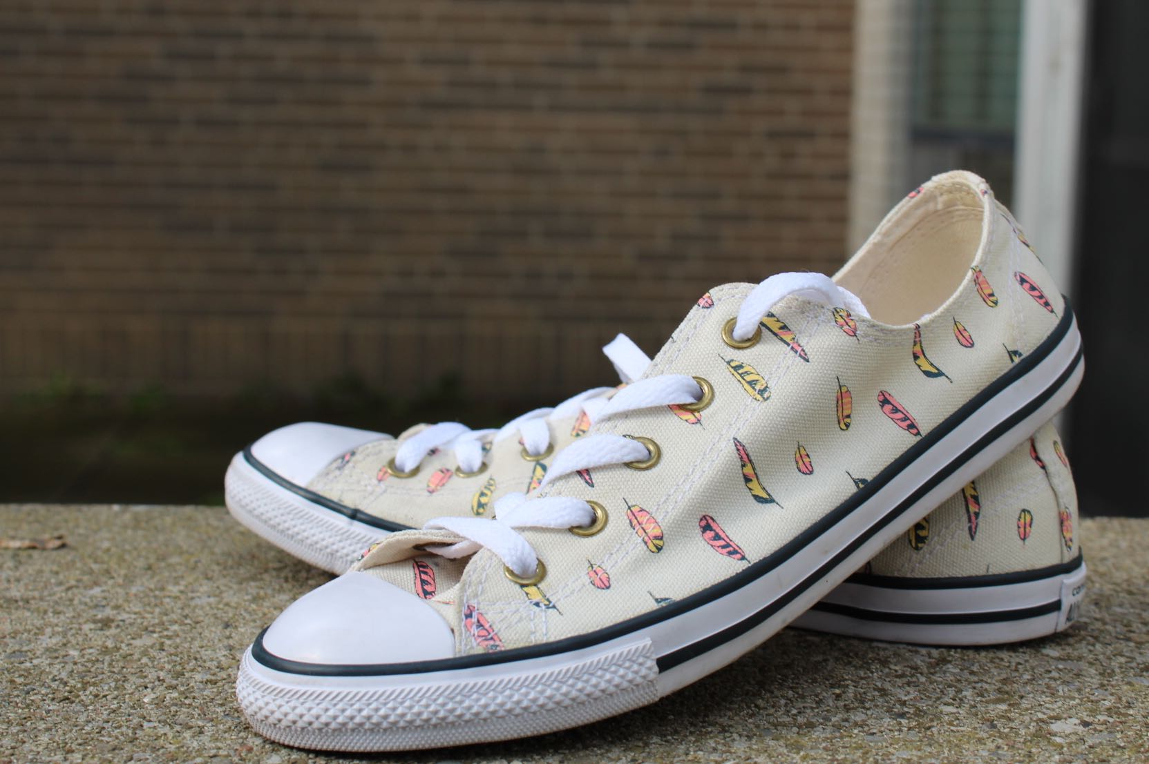 Converse feather store
