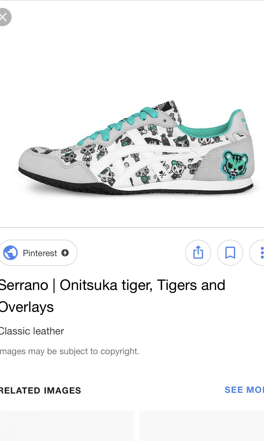 onitsuka tiger orchard road