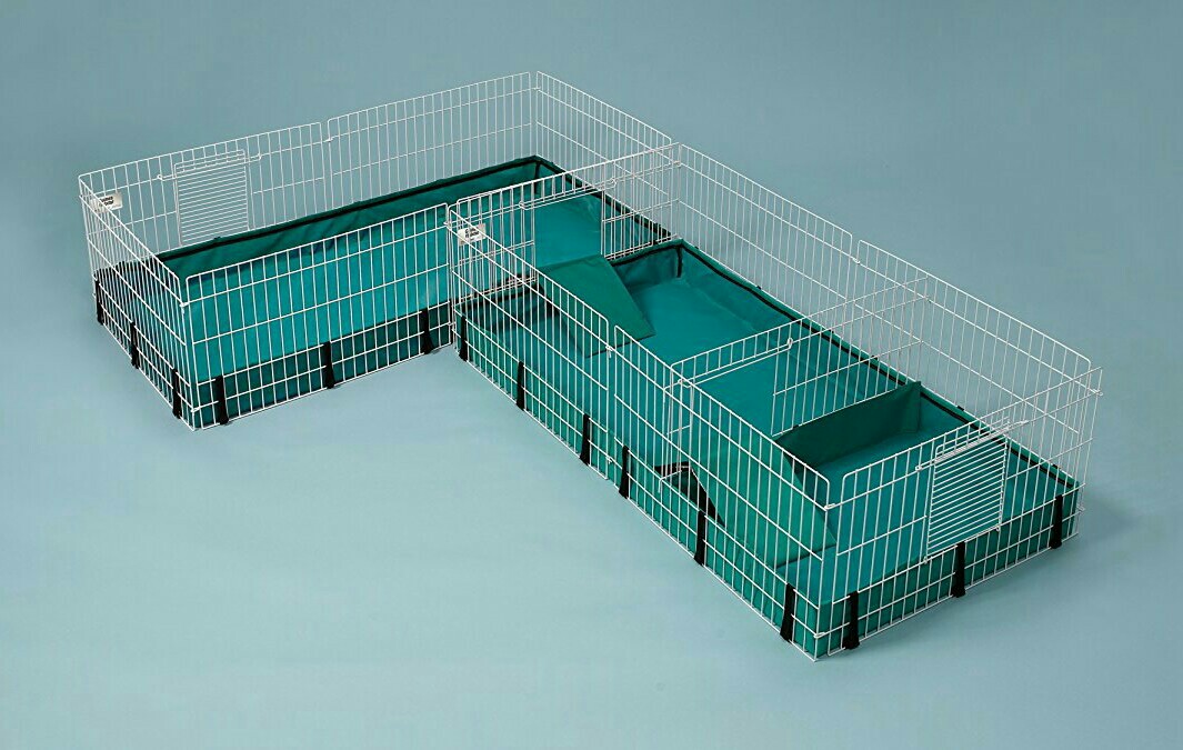 Midwest guinea outlet pig habitat plus