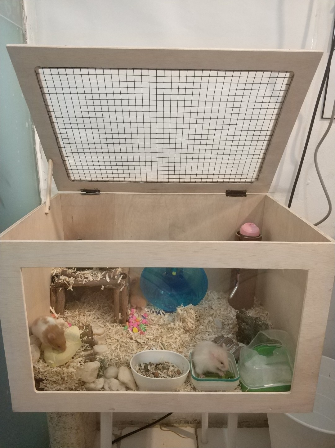 Kandang Hamster Second