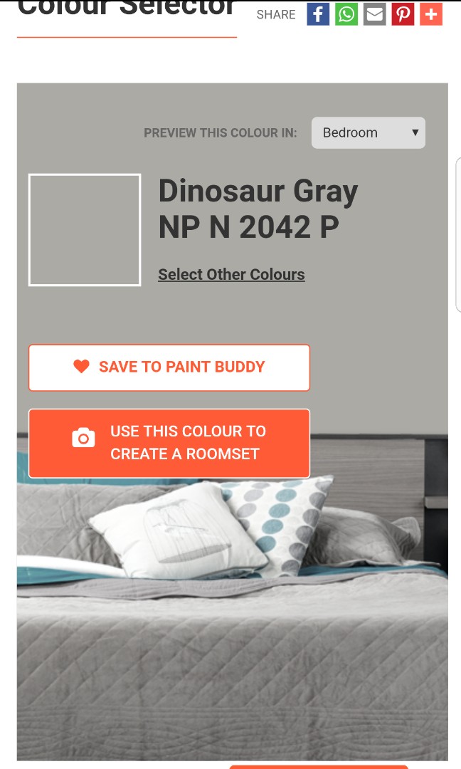 Nippon Paint Dinosuar Grey Furniture Home Decor On Carousell