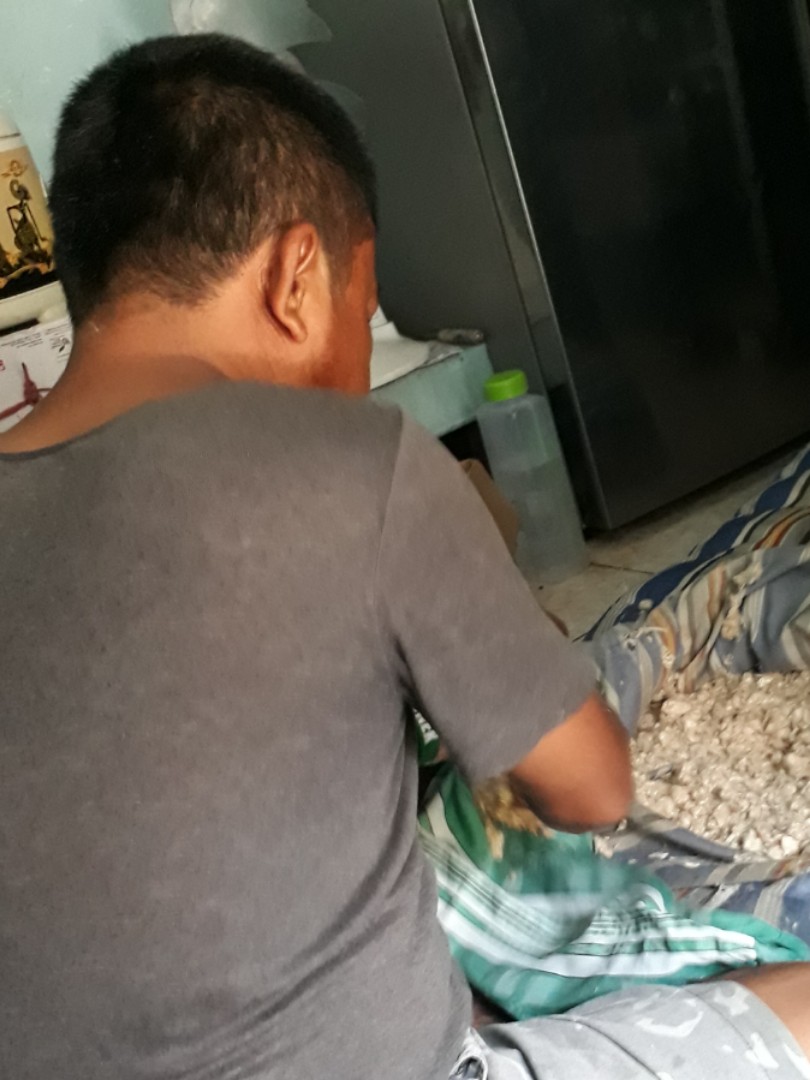 Bantal Isi Kapuk Barang Yang Dicari Di Carousell