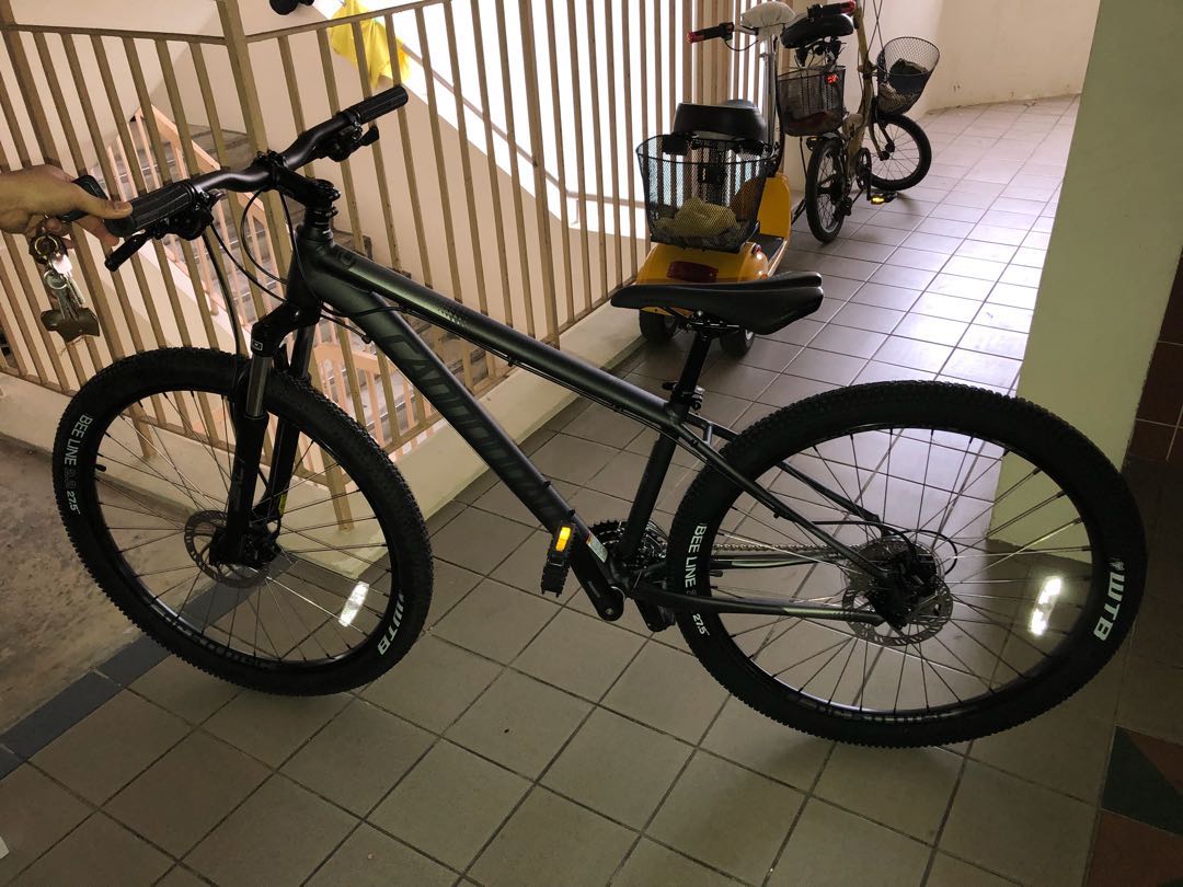cannondale small mountain bike