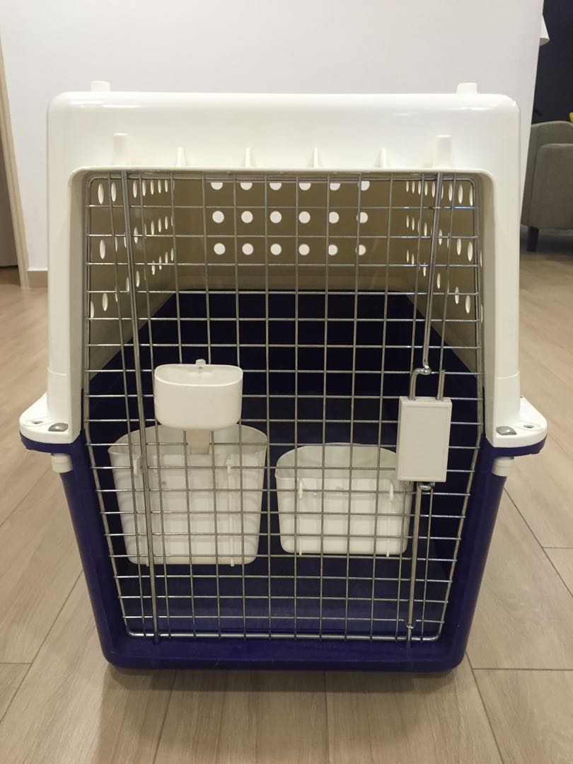 IATA Airline Approved Dog Pet Crate PP40, Pet Supplies, Homes & Other