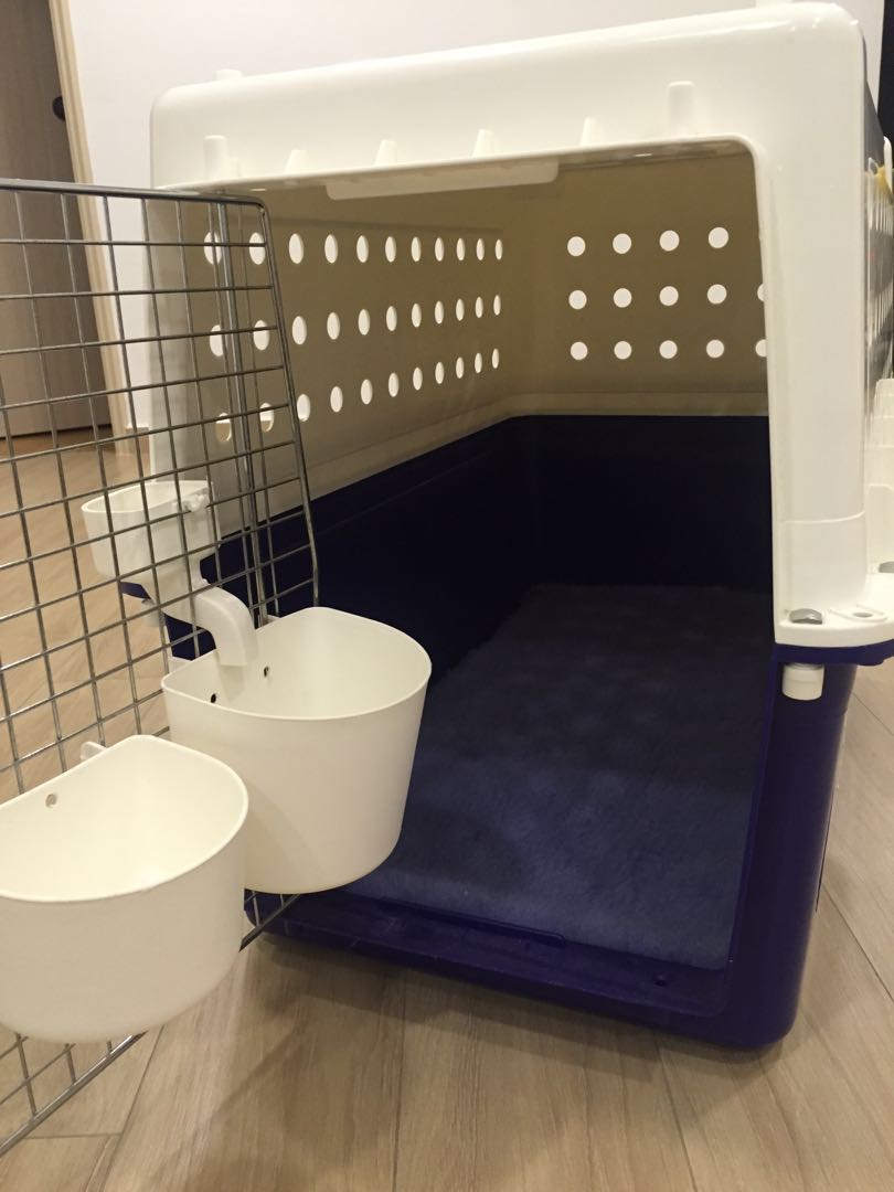 IATA Airline Approved Dog Pet Crate PP40, Pet Supplies, Homes & Other