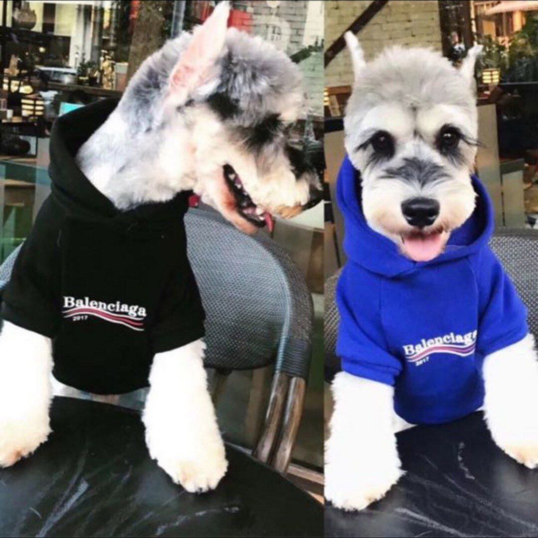 balenciaga dog hoodie