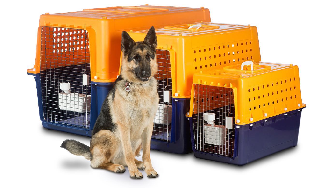 iata approved dog crates