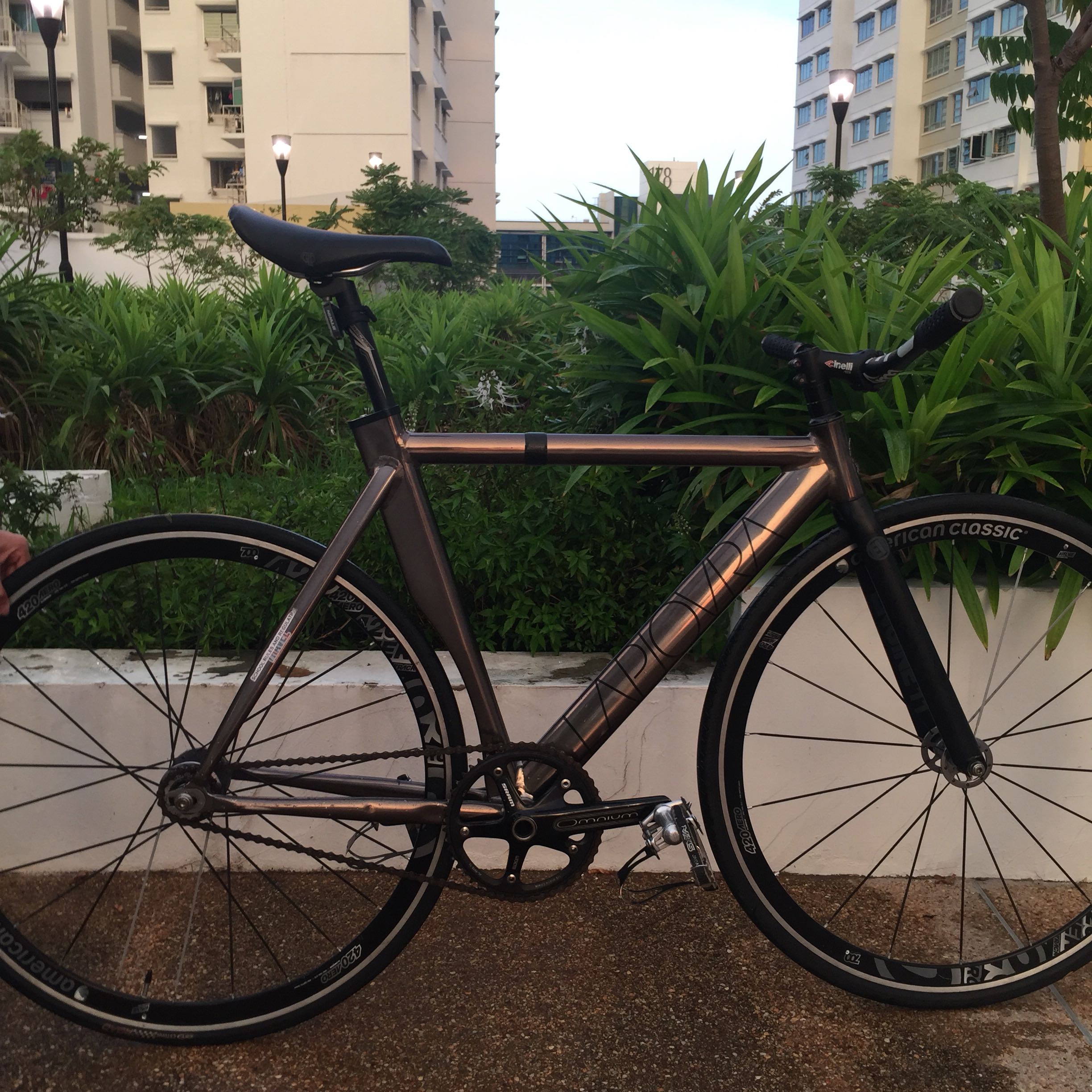 Blb La Piovra Wtt Wts Bicycles Pmds Bicycles On Carousell