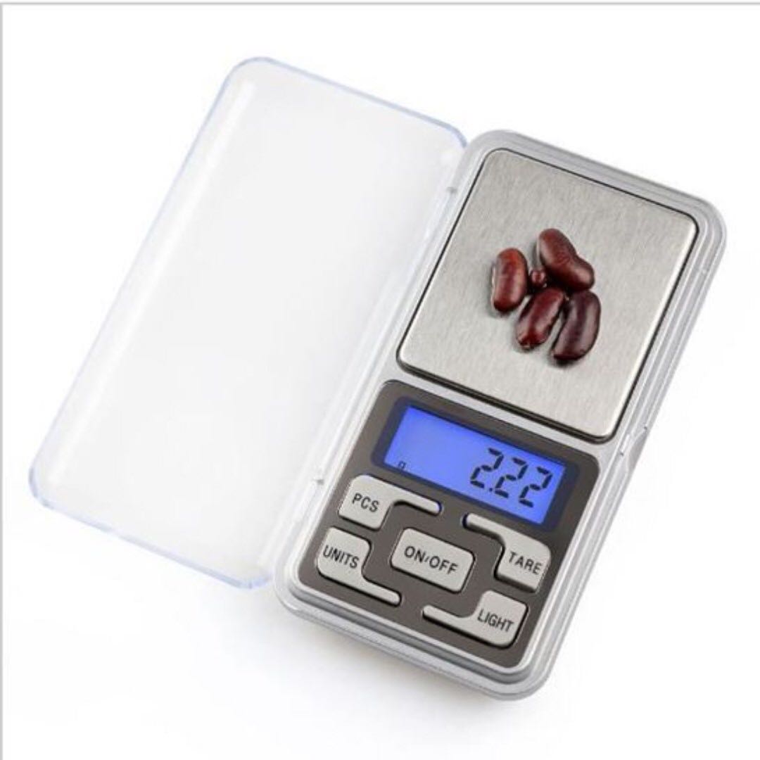 electronic gram scale