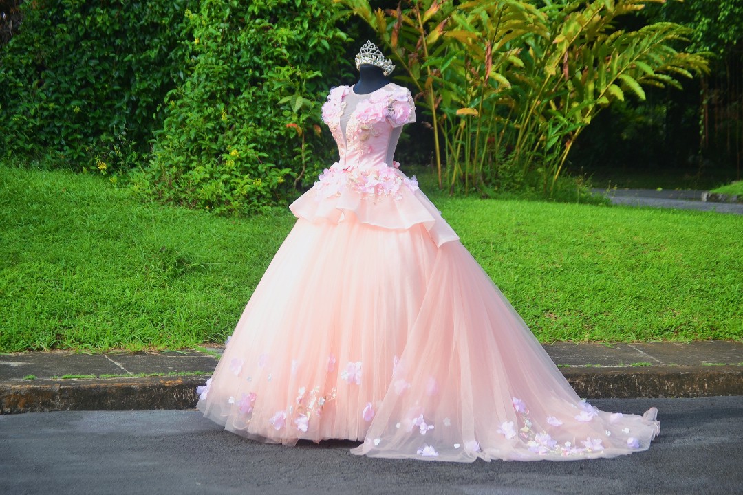 Long back ball gown sales