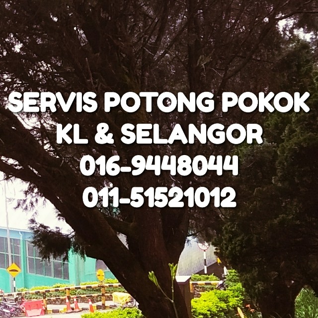 Servis Potong Pokok Services Others On Carousell