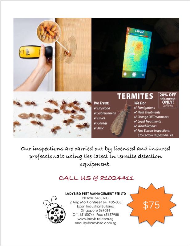 Termite Inspection And Treatment Home Services Others On Carousell