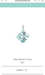 Authentic Tiffany Blue Box Charm