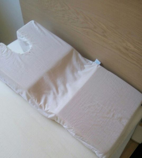 Hermell Face Down Pillow Everything Else On Carousell